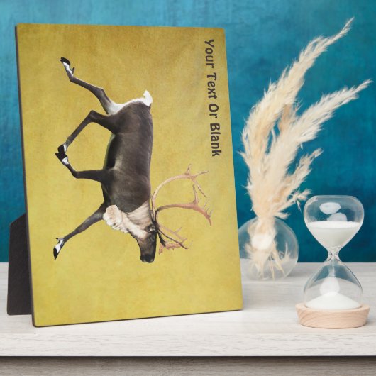 Bull Cariou Fotoplaat (Zijkant)