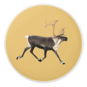 Bull Cariou Keramische Knop (Voorkant)