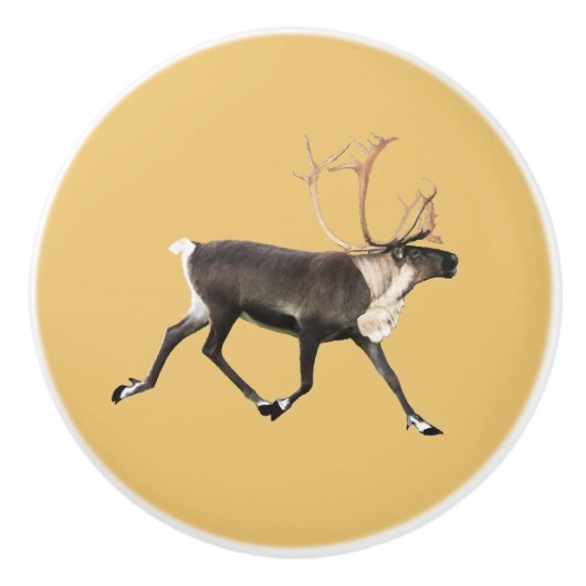 Bull Cariou Keramische Knop (Voorkant)