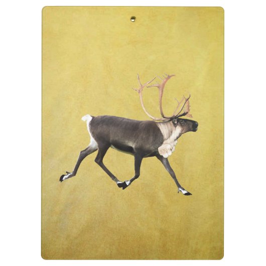 Bull Cariou Klembord (Achterkant)