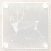 Bull Cariou (rendier) Glazen Onderzetter (Achterkant)