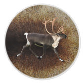 Bull Cariou (rendier) Keramische Knop (Voorkant)