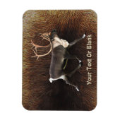 Bull Cariou (rendier) Magneet (Verticaal)