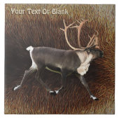 Bull Cariou (rendier) Tegeltje (Voorkant)