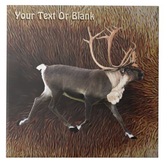 Bull Cariou (rendier) Tegeltje (Voorkant)