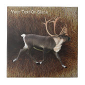 Bull Cariou (rendier) Tegeltje (Voorkant)