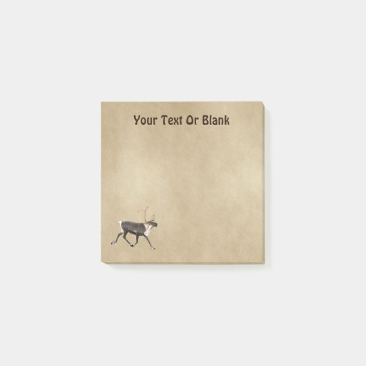 Bull Cariou (rendierpapier) op oud papier Post-it® Notes (Voorkant)