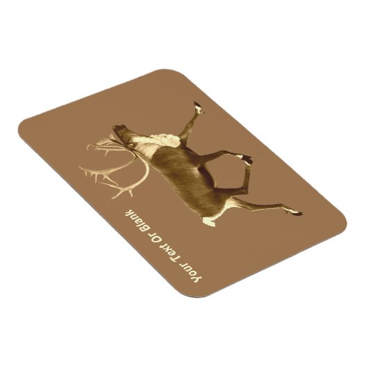 Bull Cariou - Sepia Magneet (Rechterzijde)