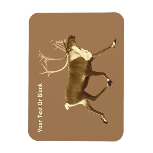 Bull Cariou - Sepia Magneet (Verticaal)