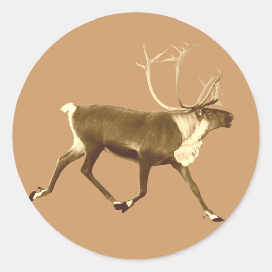 Bull Cariou - Sepia Ronde Sticker (Voorkant)