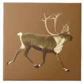 Bull Cariou - Sepia Tegeltje (Voorkant)