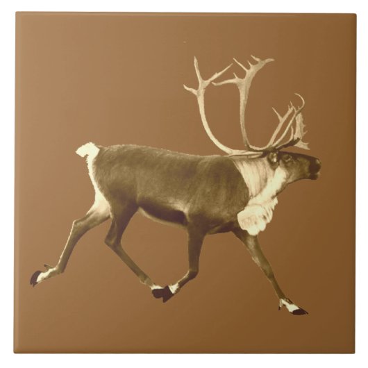 Bull Cariou - Sepia Tegeltje (Voorkant)