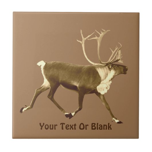 Bull Cariou - Sepia Tegeltje (Voorkant)