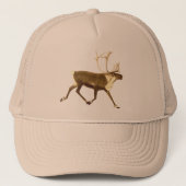 Bull Cariou - Sepia Trucker Pet (Voorkant)