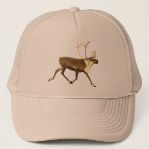 Bull Cariou - Sepia Trucker Pet