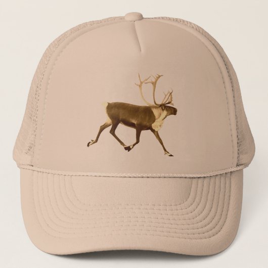 Bull Cariou - Sepia Trucker Pet (Voorkant)