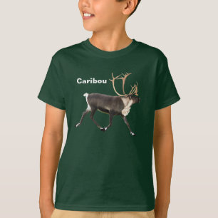 Bull Cariou T-shirt