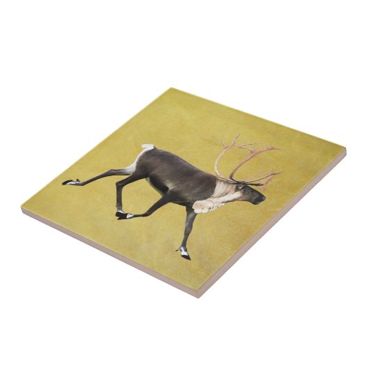 Bull Cariou Tegeltje (Zijkant)