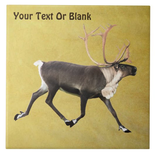 Bull Cariou Tegeltje (Voorkant)