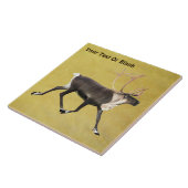 Bull Cariou Tegeltje (Zijkant)