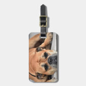 Bull Dog Bagagelabel (Voorkant verticaal)