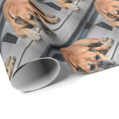 Bull Dog Cadeaupapier (Rol Hoek)