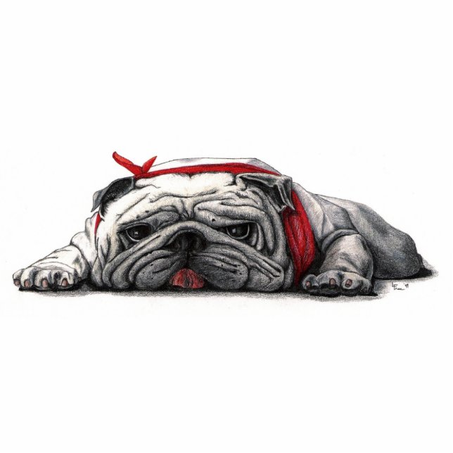 BULL DOG DESK BUDDY - Gepersonaliseerd Staand Fotobeeldje (Voorkant)