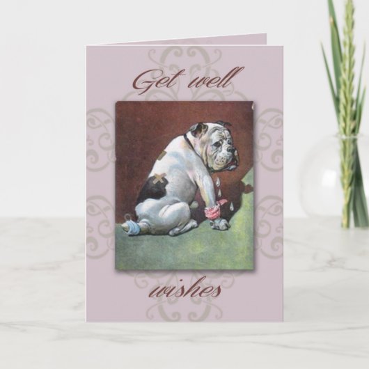 Bull Dog Get Well Card Kaart (Voorkant)
