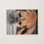 Bull Dog Legpuzzel (Horizontaal)
