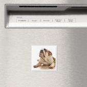 Bull Dog Magnet (Insitu (Vaatwasser))