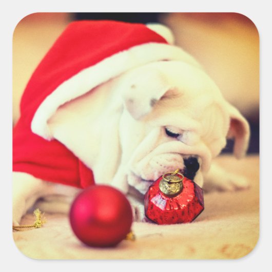 BULL DOG MET Santa hat Vierkante Sticker (Voorkant)