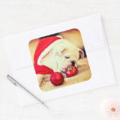 BULL DOG MET Santa hat Vierkante Sticker (Envelop)