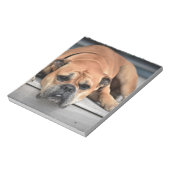 Bull Dog Notitieblok (Linkerzijde)