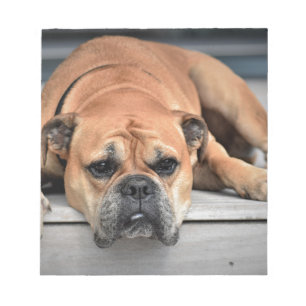 Bull Dog Notitieblok