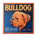 Bull Dog op een blauwe achtergrond Tegeltje<br><div class="desc">Een kratelafdruk die een buldog met een blauwe gepatterde achtergrond en een oranje rand illustreert. Kies deze kunstdruk op uw product van Zazzle vandaag.</div>