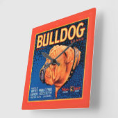 Bull Dog op een blauwe achtergrond Vierkante Klok (Hoek)