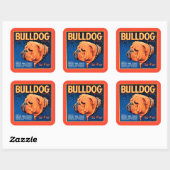 Bull Dog op een blauwe achtergrond Vierkante Sticker (Vel)