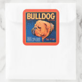 Bull Dog op een blauwe achtergrond Vierkante Sticker (Tas)