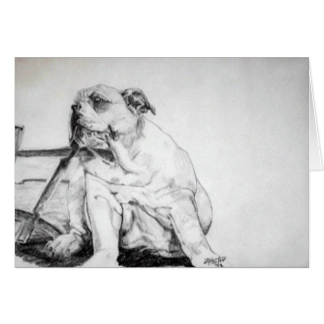 Bull Dog Puppy (Voorkant Horizontaal)