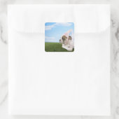 Bull Dog puppy prinses Vierkante Sticker (Tas)