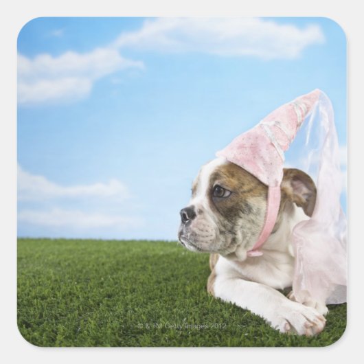 Bull Dog puppy prinses Vierkante Sticker (Voorkant)