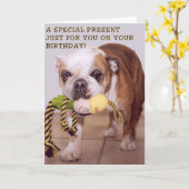 Bull Dog verjaardagskaart Kaart (Gele Bloem)