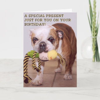 Bull Dog verjaardagskaart Kaart