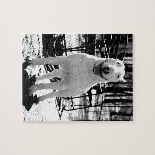 Bull doodsbang legpuzzel (Horizontaal)