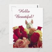 Bull-doodsbang met rozen begroeting - Hallo pracht Briefkaart (Voorkant / Achterkant)