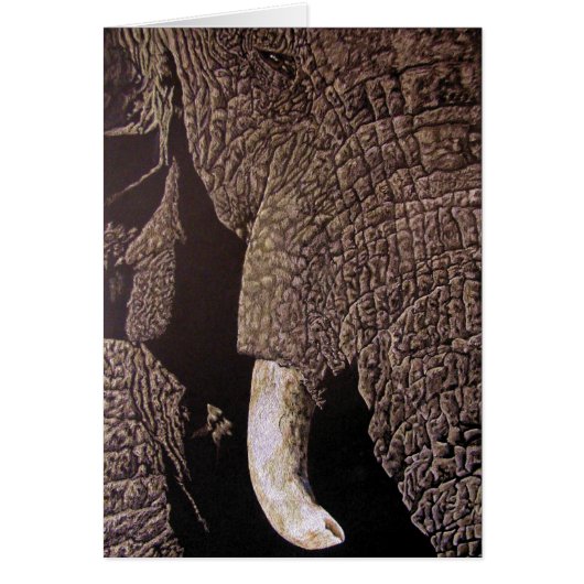 Bull Elephant (Voorkant)