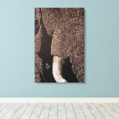 Bull Elephant Canvas Afdruk (Insitu (Houten vloer))