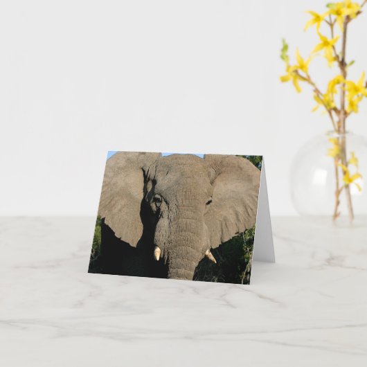 Bull Elephant kaart (Gele Bloem)