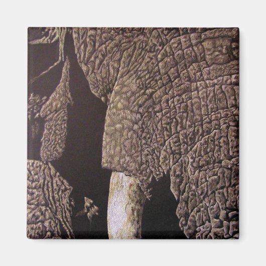 Bull Elephant Magneet (Voorkant)