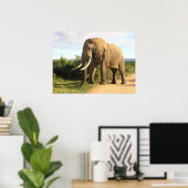 Bull Elephant Poster (Thuiskantoor)